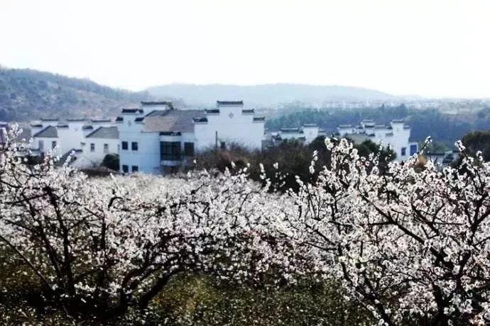 疫情3十11学校宿舍隔离学生吃饭怎么解决？游戏画面