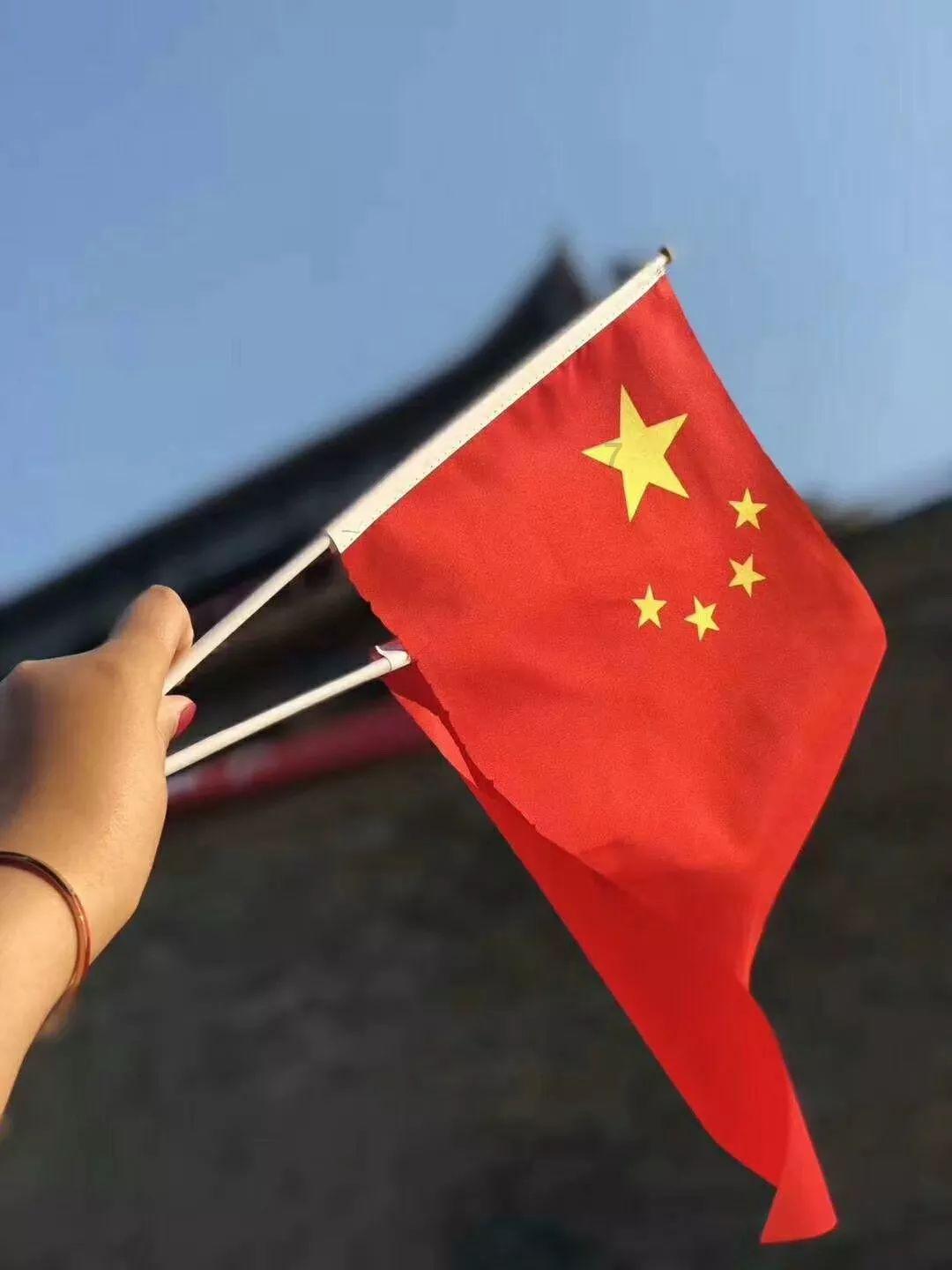 口袋森林世界杯防守战