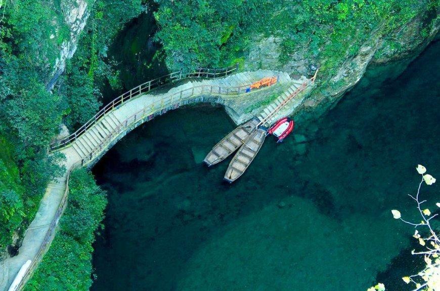 精灵格蕾